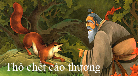 Kể chuyện thành ngữ tiếng Trung- Thỏ chết cáo thương